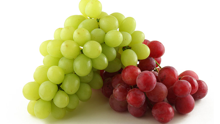 Picture of Large California Red or Green Seedless Grapes
