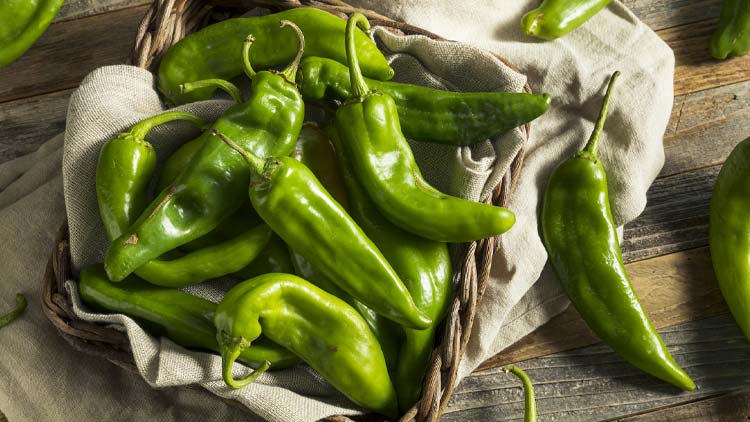 Picture of Long Green Chile
