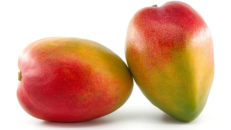 Picture of Avocados or Mangoes
