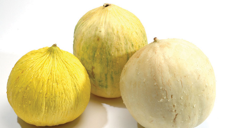Picture of Assorted Mixed Melons