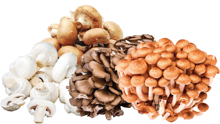 Picture of Fresh Whole or Sliced Specialty Mushrooms