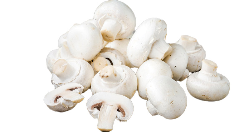 Picture of Whole or Sliced White Mushrooms