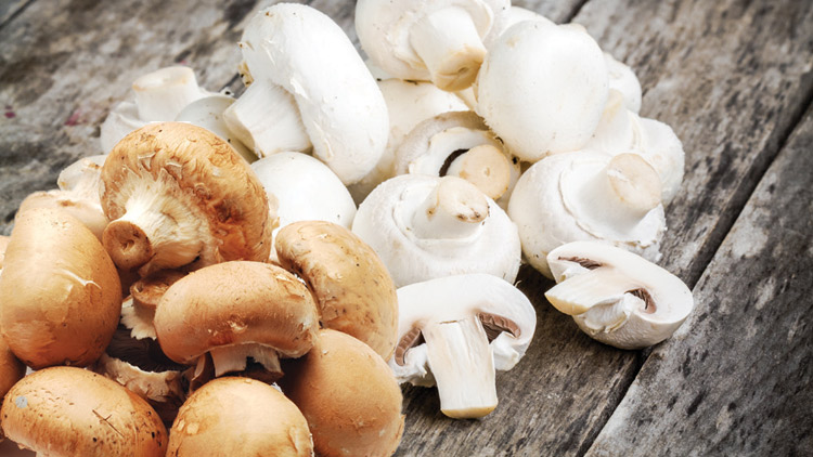 Picture of Whole or Sliced Mushrooms