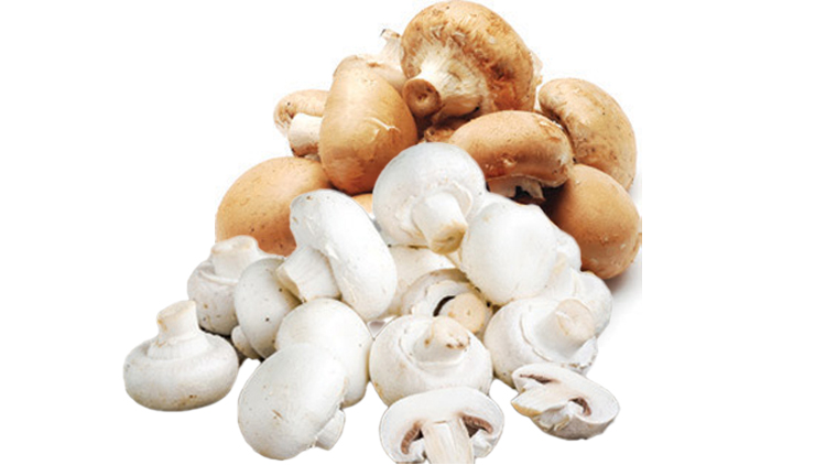 Picture of Whole or Sliced Mushrooms