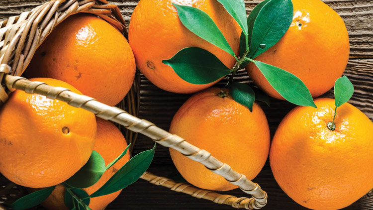 Picture of Choice Navel Oranges