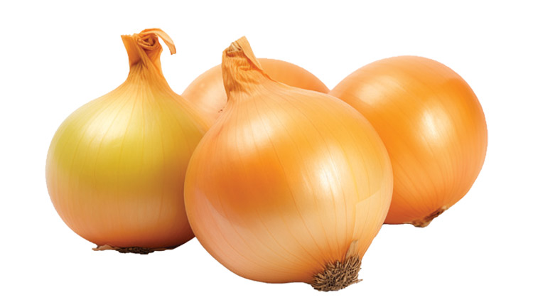 Picture of Dalena Sweet Onions