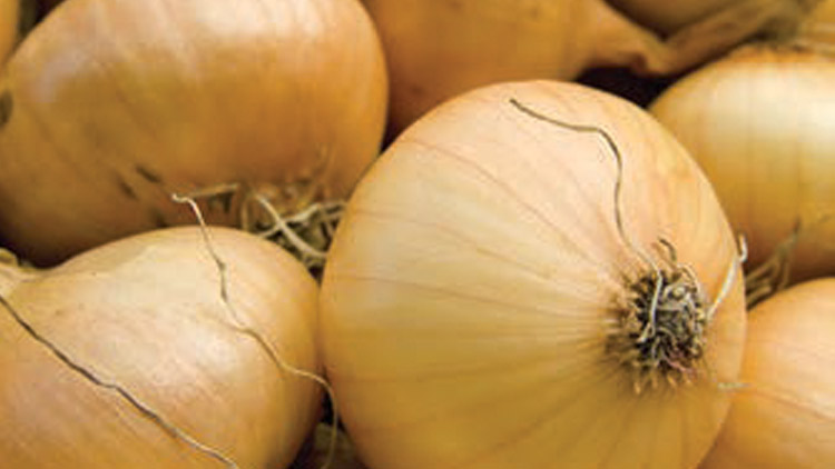 Picture of Vidalia Onions
