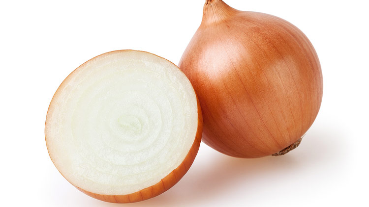 Picture of Large Yellow or White Onions
