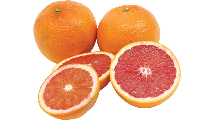 Picture of Cara Cara Oranges