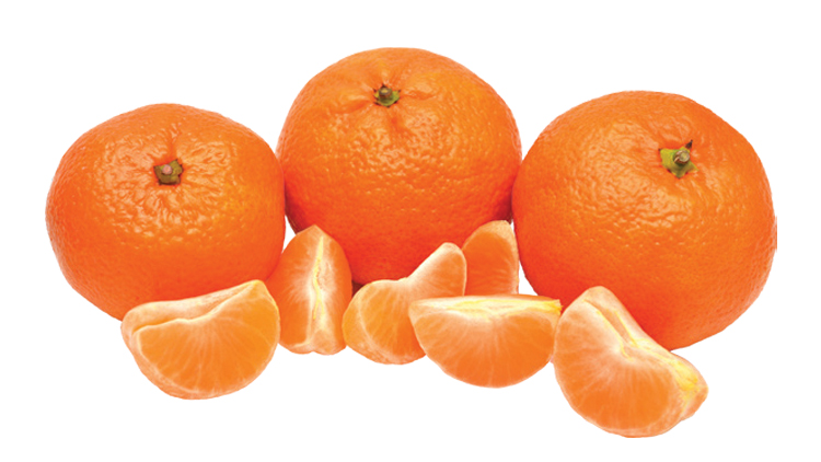 Picture of Easy Peel Seedless Mandarins
