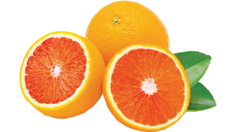 Picture of Seedless Cara Cara Pink Navel Oranges or Zesty Lemons