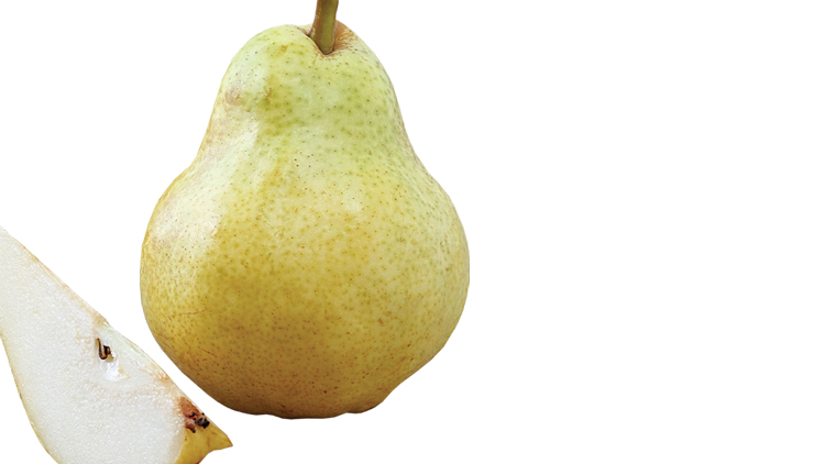 Picture of Bartlett Pears
