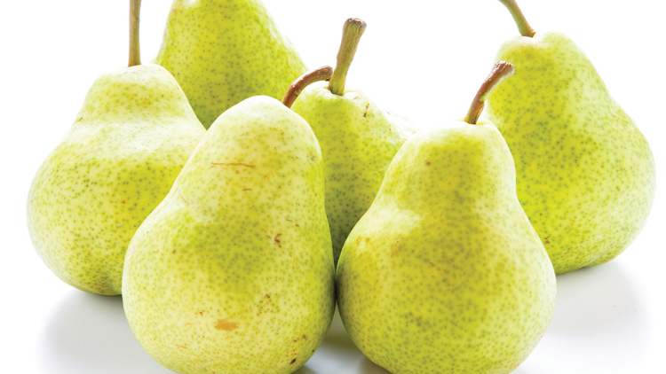 Picture of Bartlett Pears