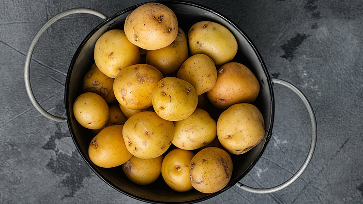 Picture of MountainKing Red or Gold Baby Potatoes