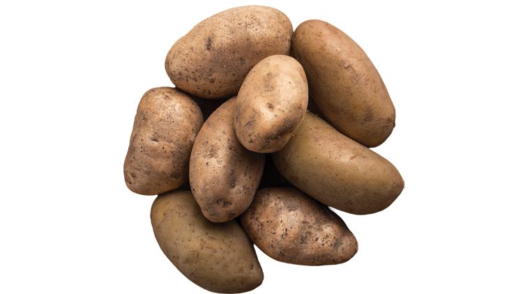 Picture of Russet Potatoes