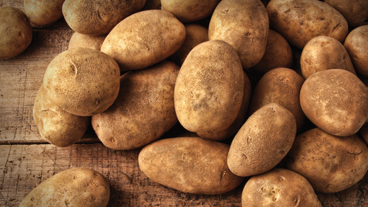 Picture of Bulk Russet Potatoes
