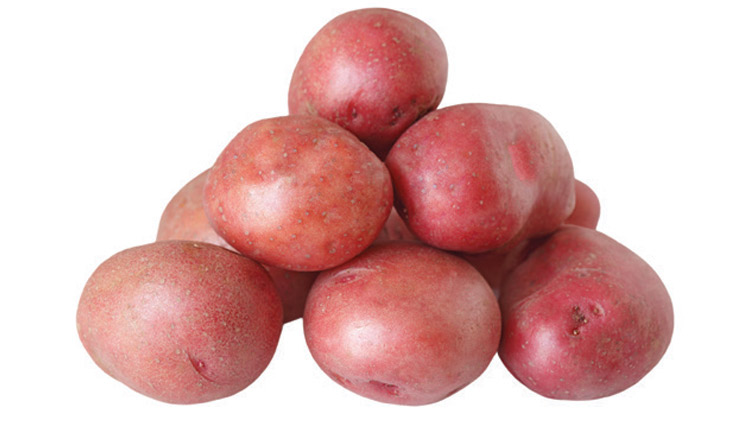 Picture of Fresh Red Potatoes