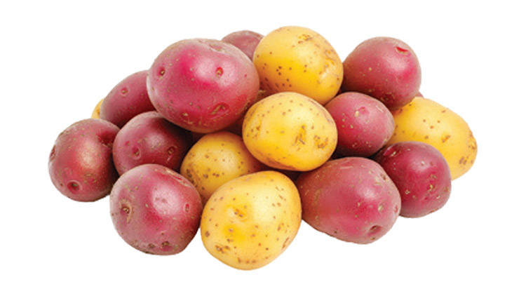 Picture of Red or Yukon Gold Potatoes
