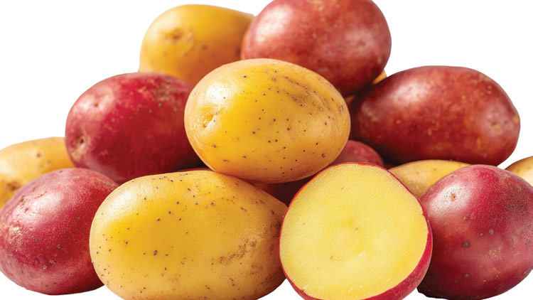 Picture of Red or Yukon Gold Potatoes