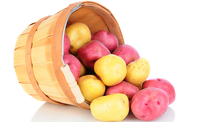 Picture of Red or Gold Potatoes