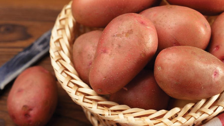 Picture of Farmer's Promise Red Potatoes