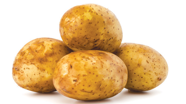 Picture of Russet Potatoes