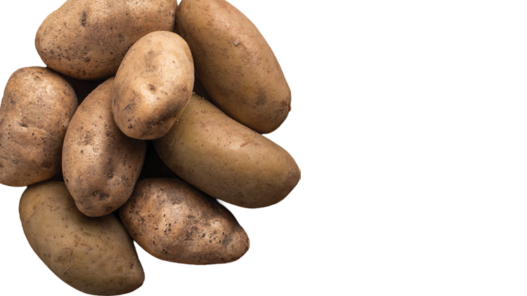Picture of Best Choice Russet Potatoes