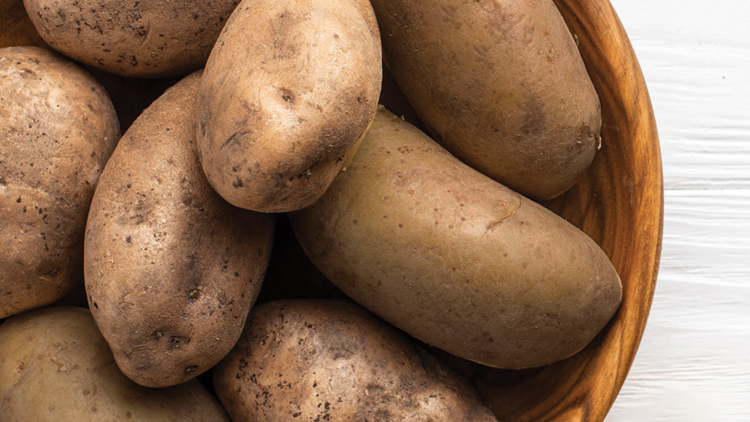 Picture of Russet Potatoes