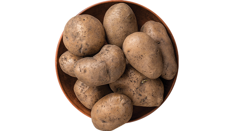 Picture of Russet Potatoes