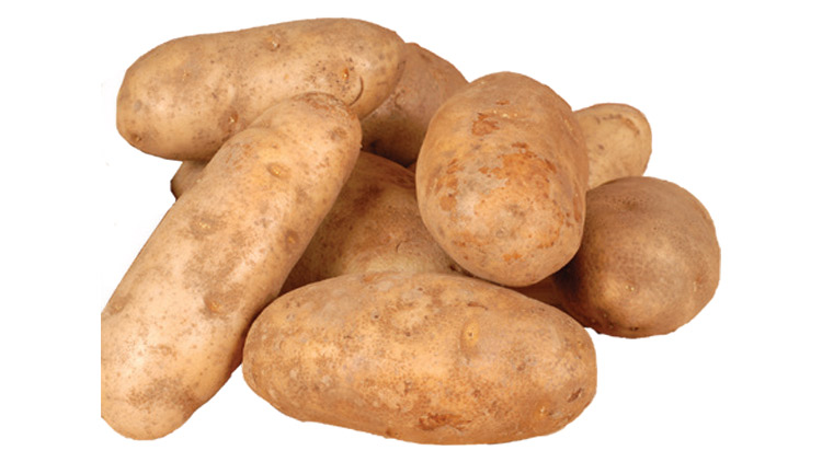 Picture of Large Idaho Baking Potatoes