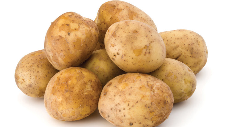Picture of Russet Potatoes