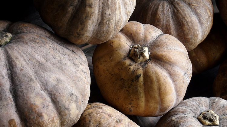 Picture of Calabaza Castillo
