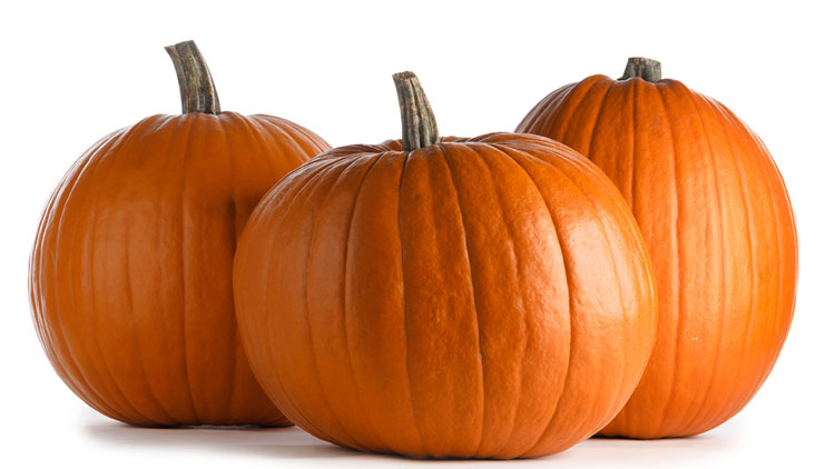 Picture of Pumpkins