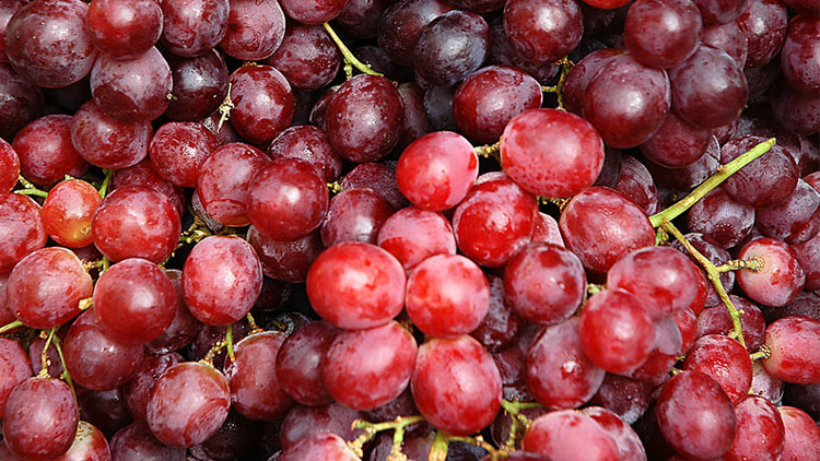 Picture of Extra Large Red Seedless Grapes