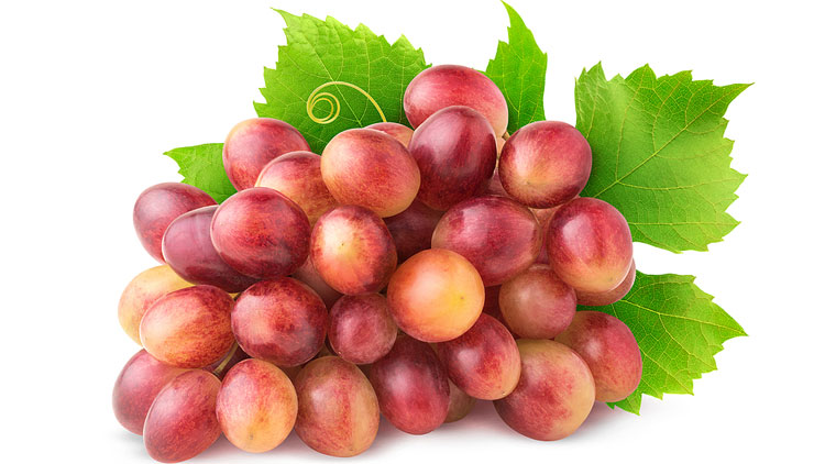Picture of Red Seedless Grapes