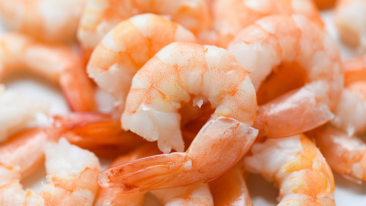 Picture of Cooked Shrimp