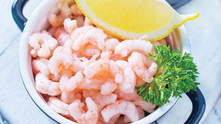 Picture of Fresh Shrimp Meat