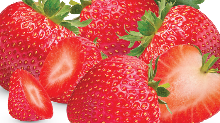 Picture of Red Ripe Strawberries