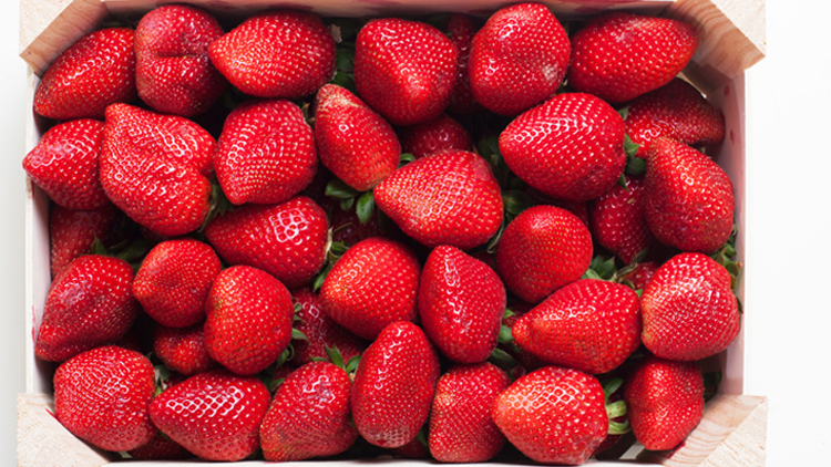 Picture of California Red Ripe Strawberries