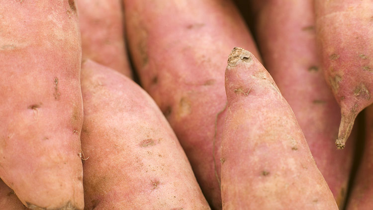 Picture of Yams