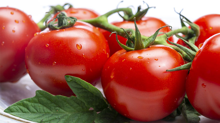 Picture of Premium Hothouse Tomatoes