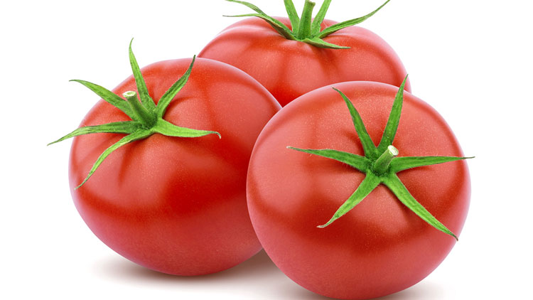 Picture of Premium Hothouse Tomatoes