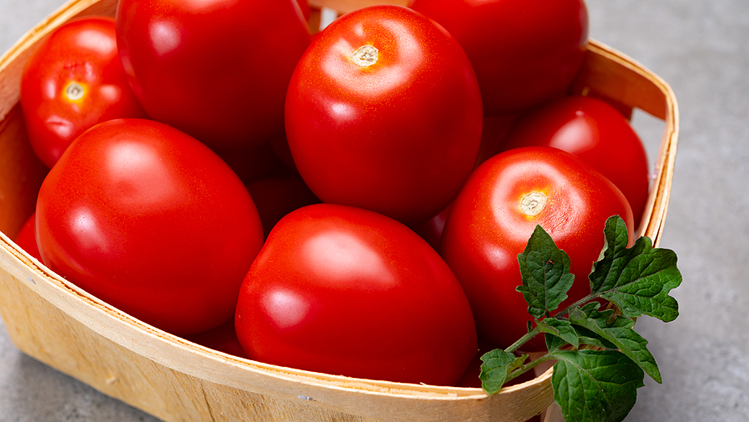 Picture of Garden Fresh Roma Tomatoes or Jalapeño Peppers