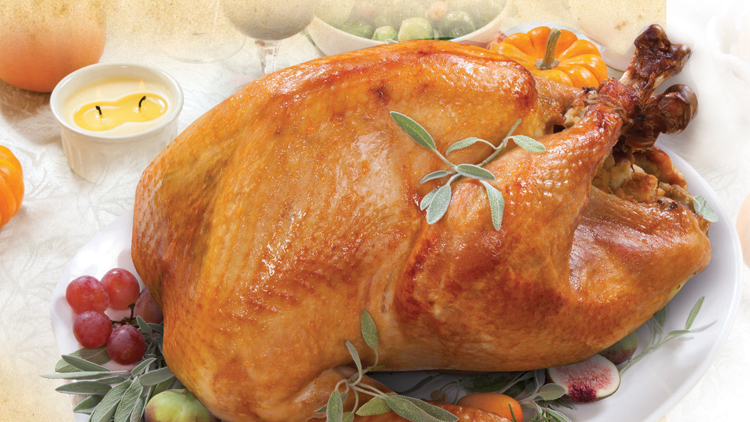 Picture of Turkey Meal for Four