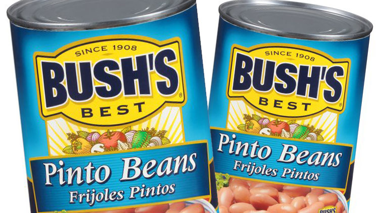 Picture of Bush's Best Pinto Beans